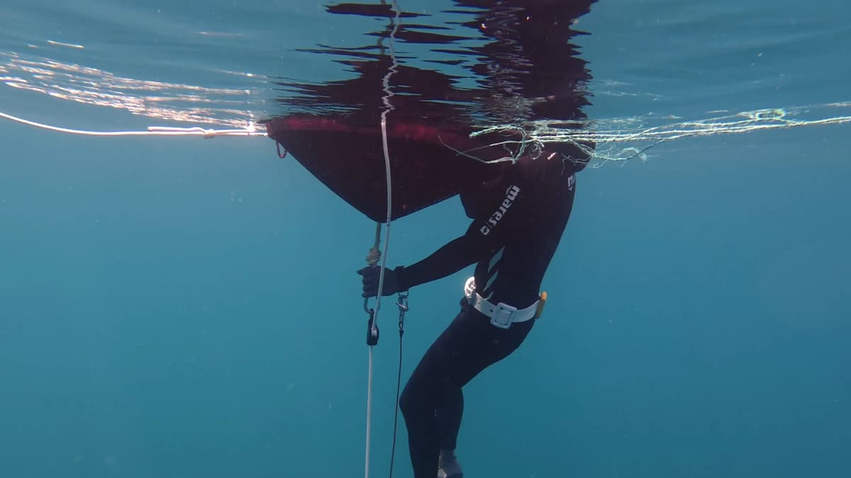Freediver paused at the surface holding the descent line