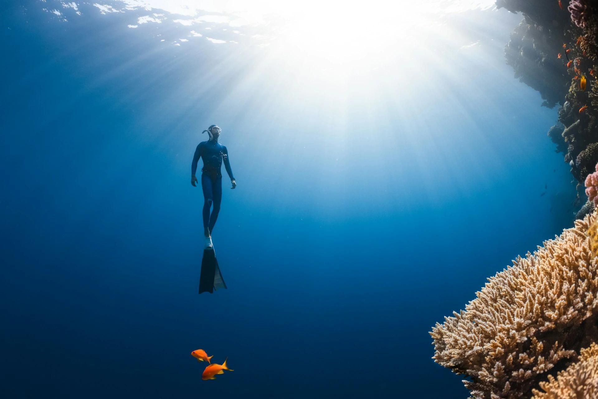 freediver