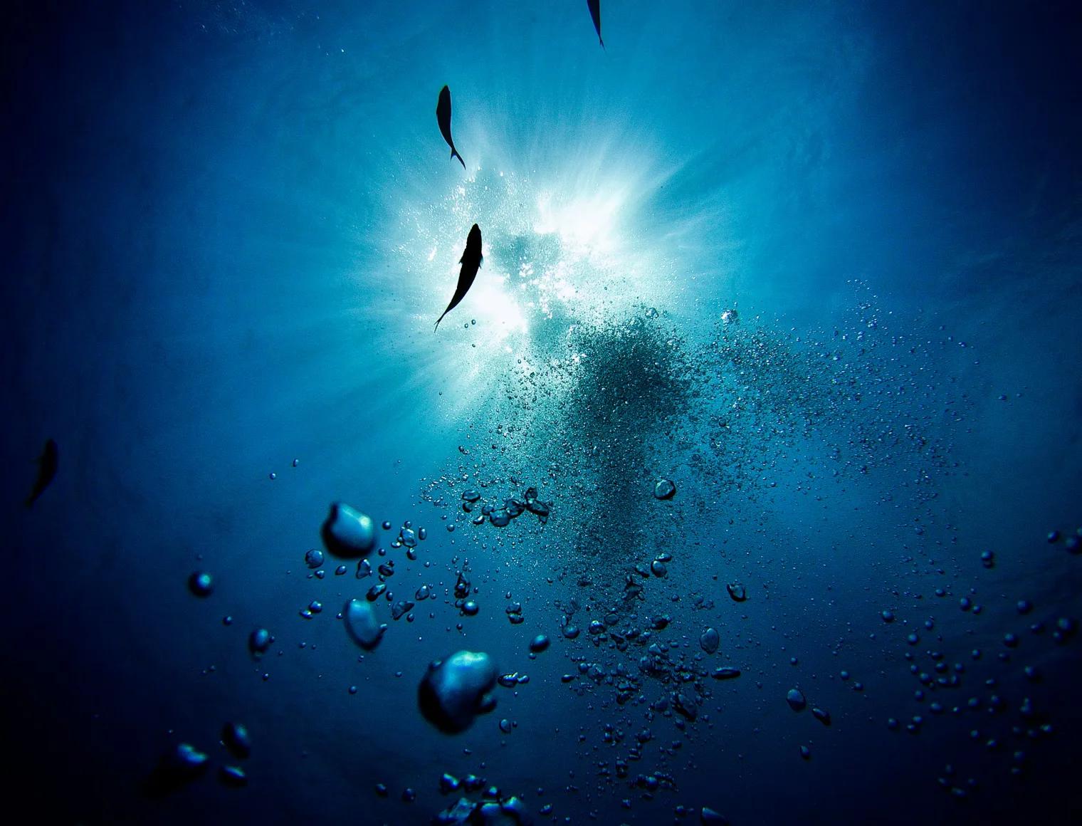 Freediving in Dahab Blue Hole, Egypt