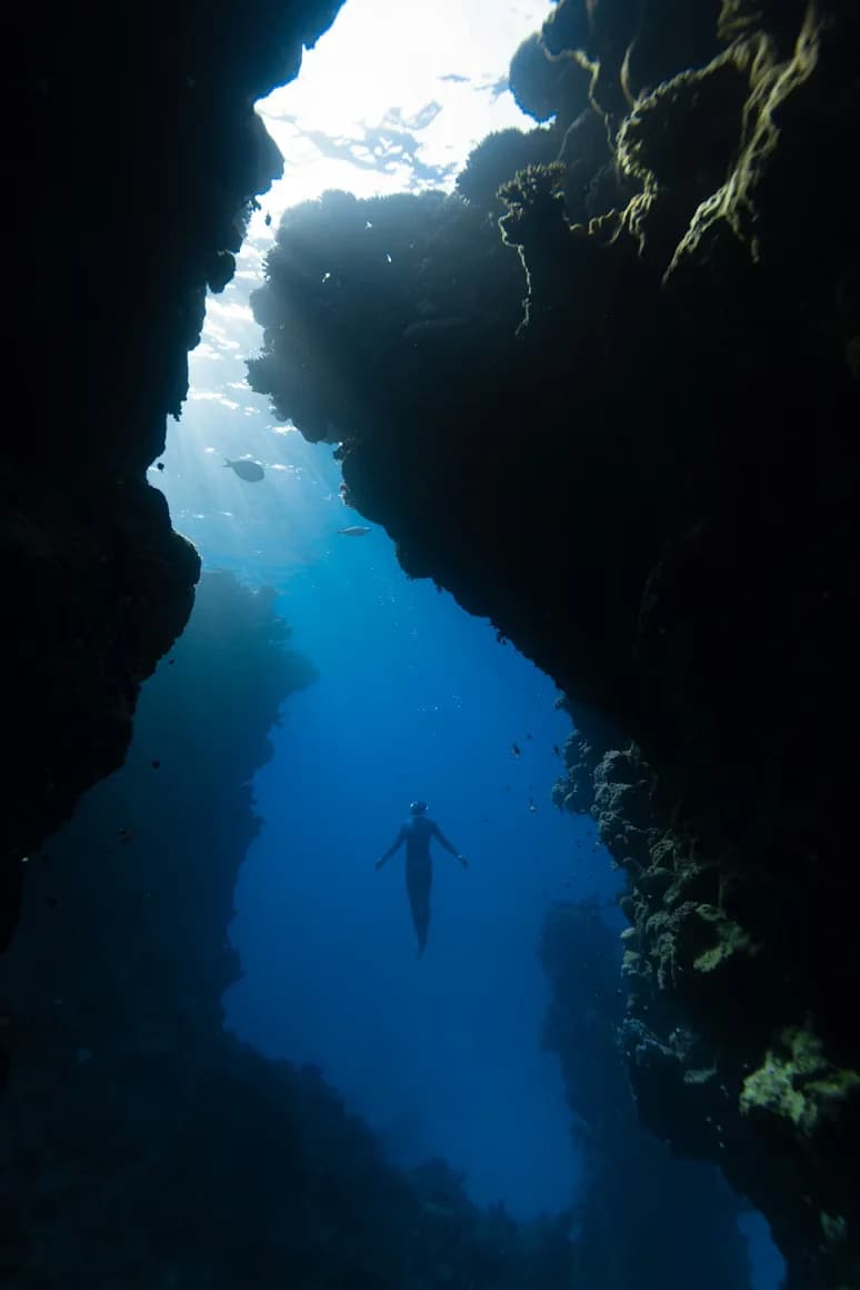 Freediving in Moalboal, Philippines