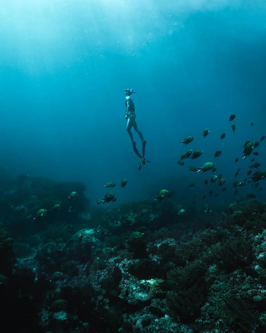 Freediving in Amed & Tulamben, Bali