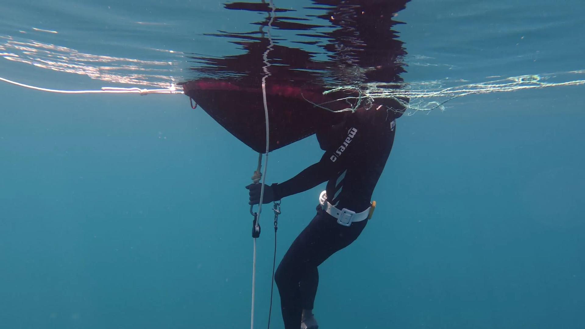 Freediver paused at the surface holding the descent line