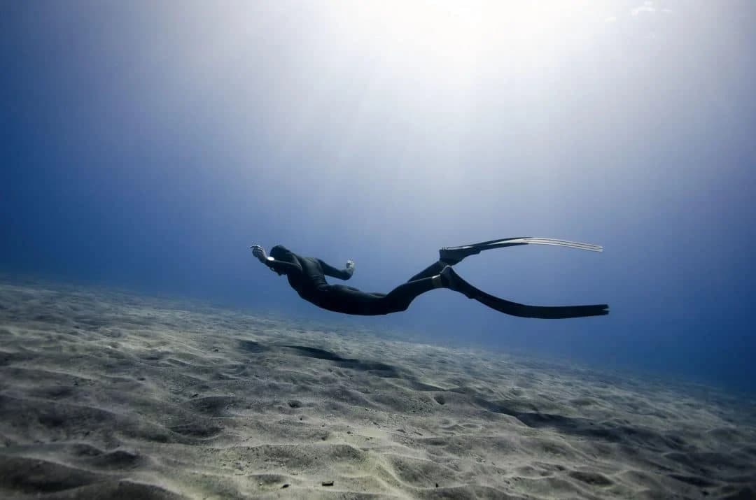 Apnea Total Koh Tao — freediving school in Koh Tao, Thailand