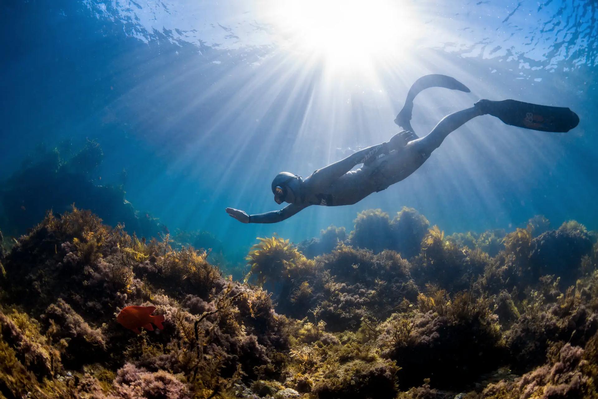 Aqua Native freediving school