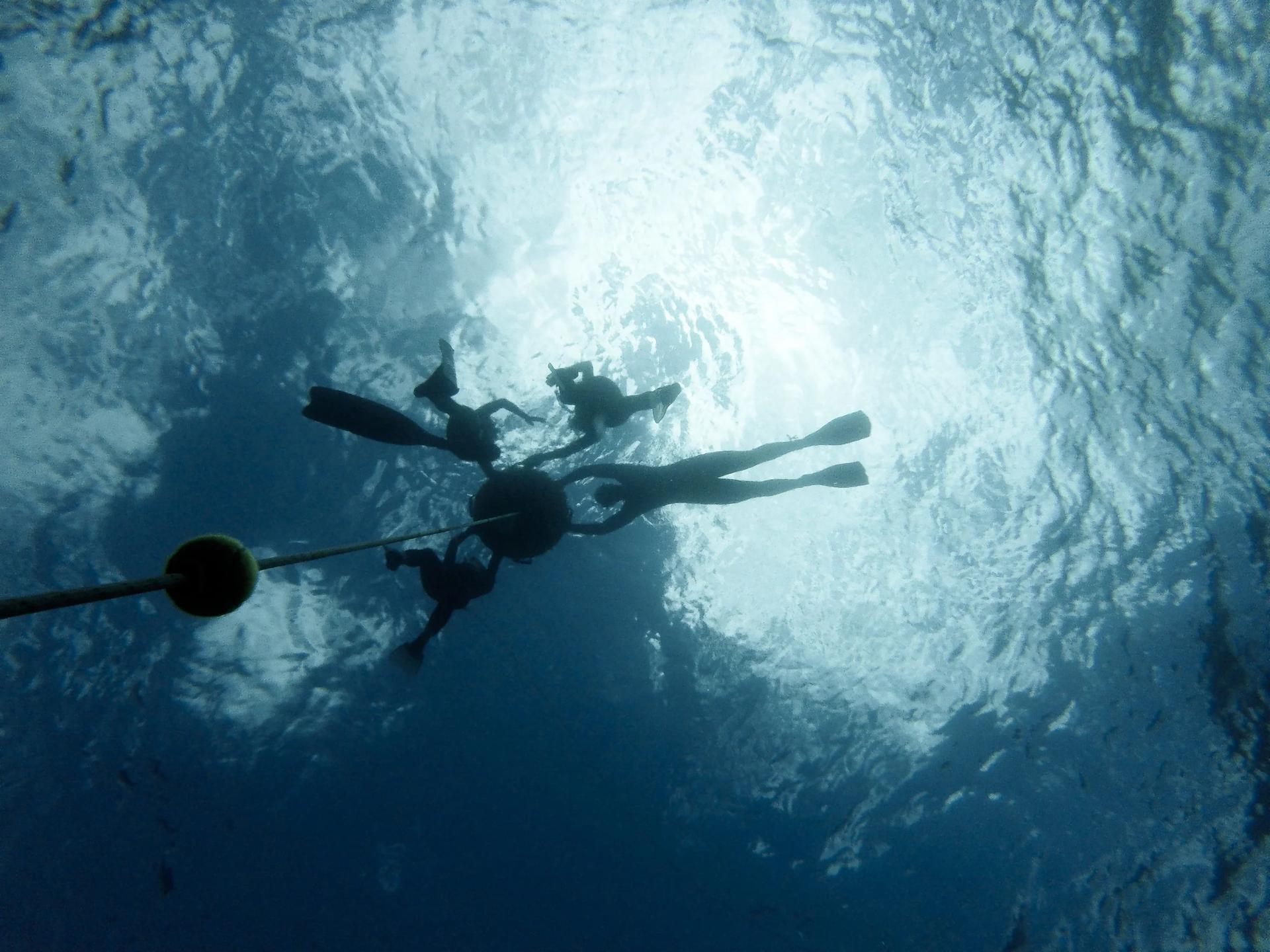 Azores Freediving — freediving school in Azores, Portugal