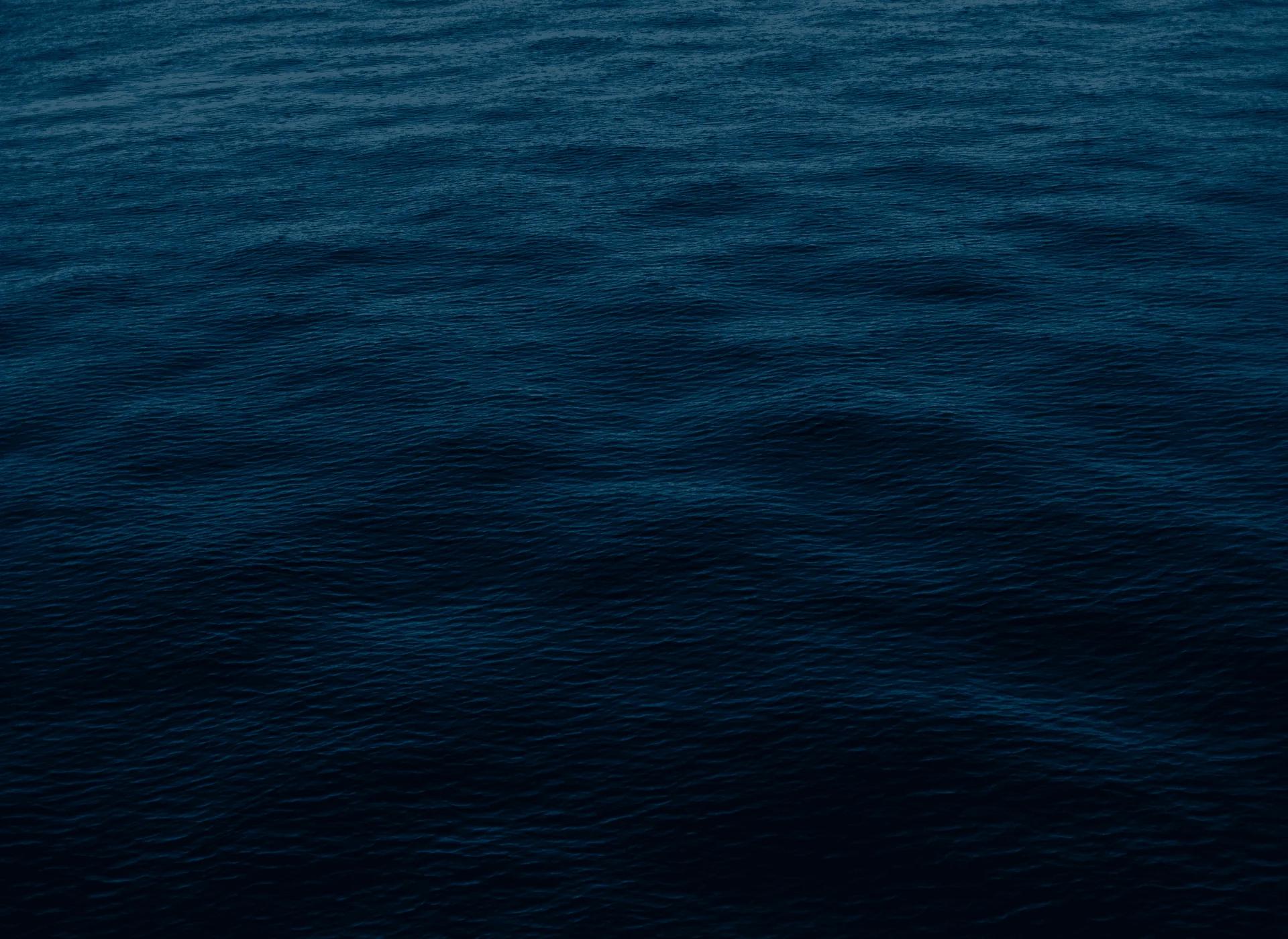 Blue Chitta — freediving school in Koh Tao, Thailand