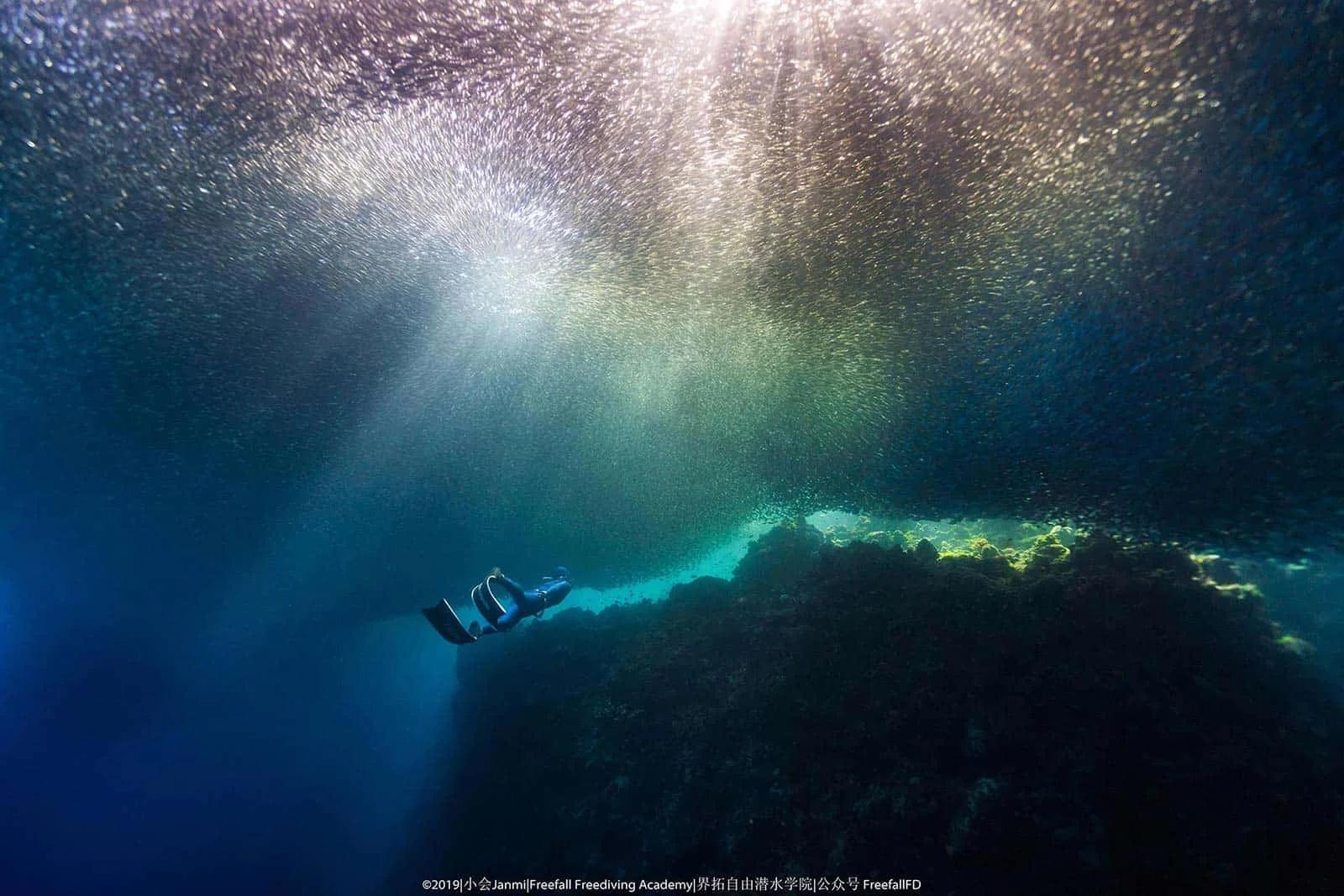 Conservation Freediving Bohol — freediving school in Panglao, Philippines