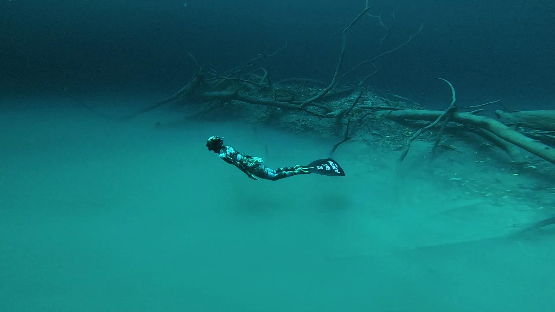 Freedive Tulum — freediving school in Tulum Cenotes, Mexico