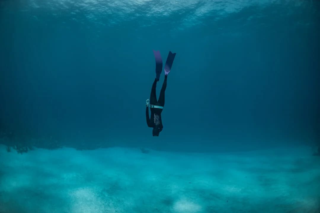 Freediving Dive Spot — freediving school in Tenerife, Spain