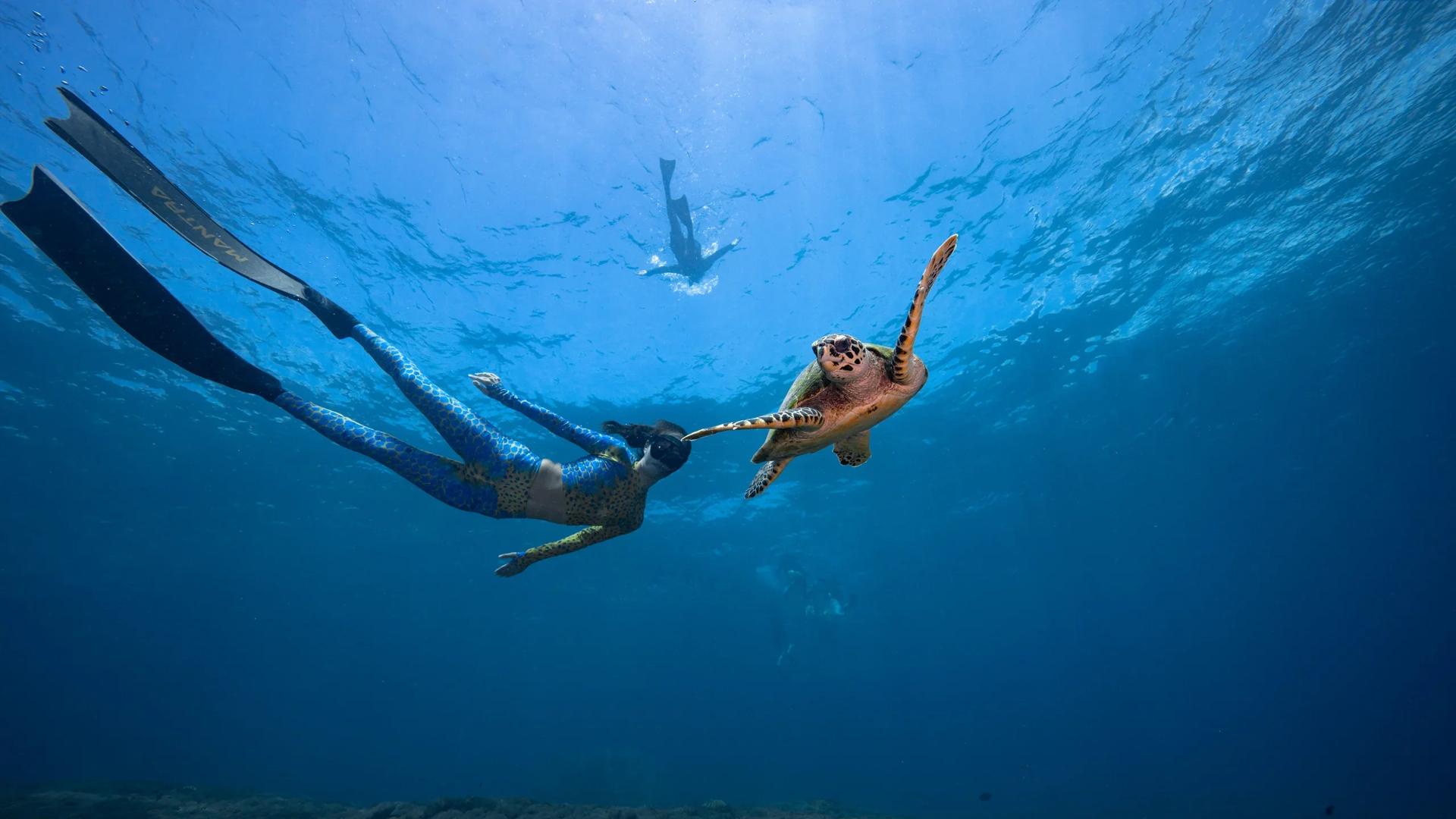 Freediving Penida freediving school