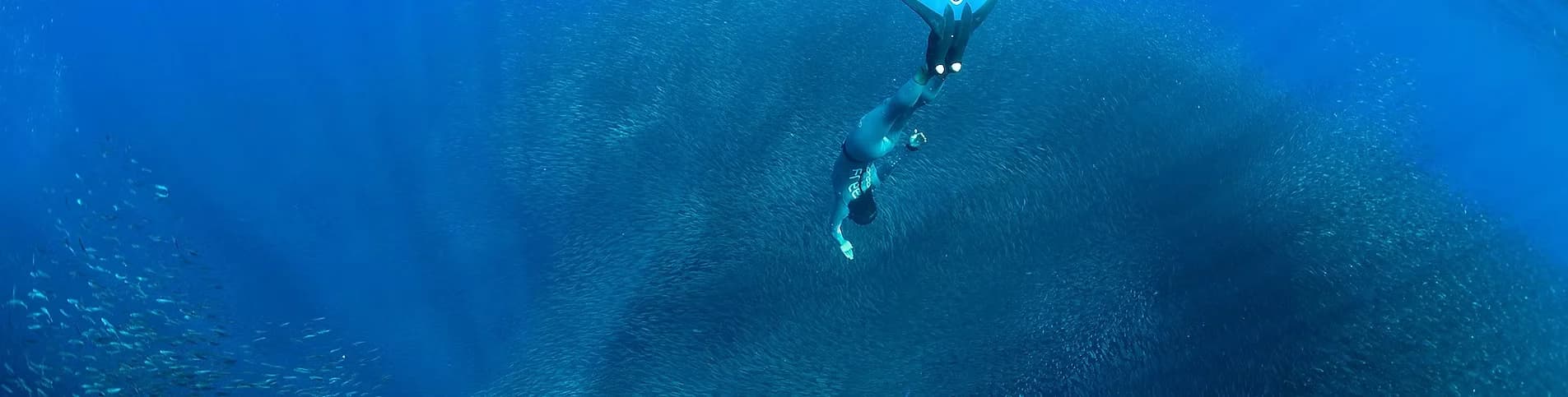 Freediving Planet — freediving school in Moalboal, Philippines