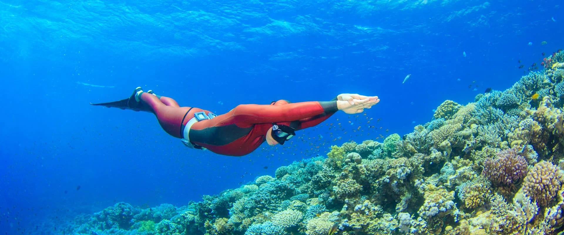 H2O Divers Dahab — freediving school in Dahab, Egypt