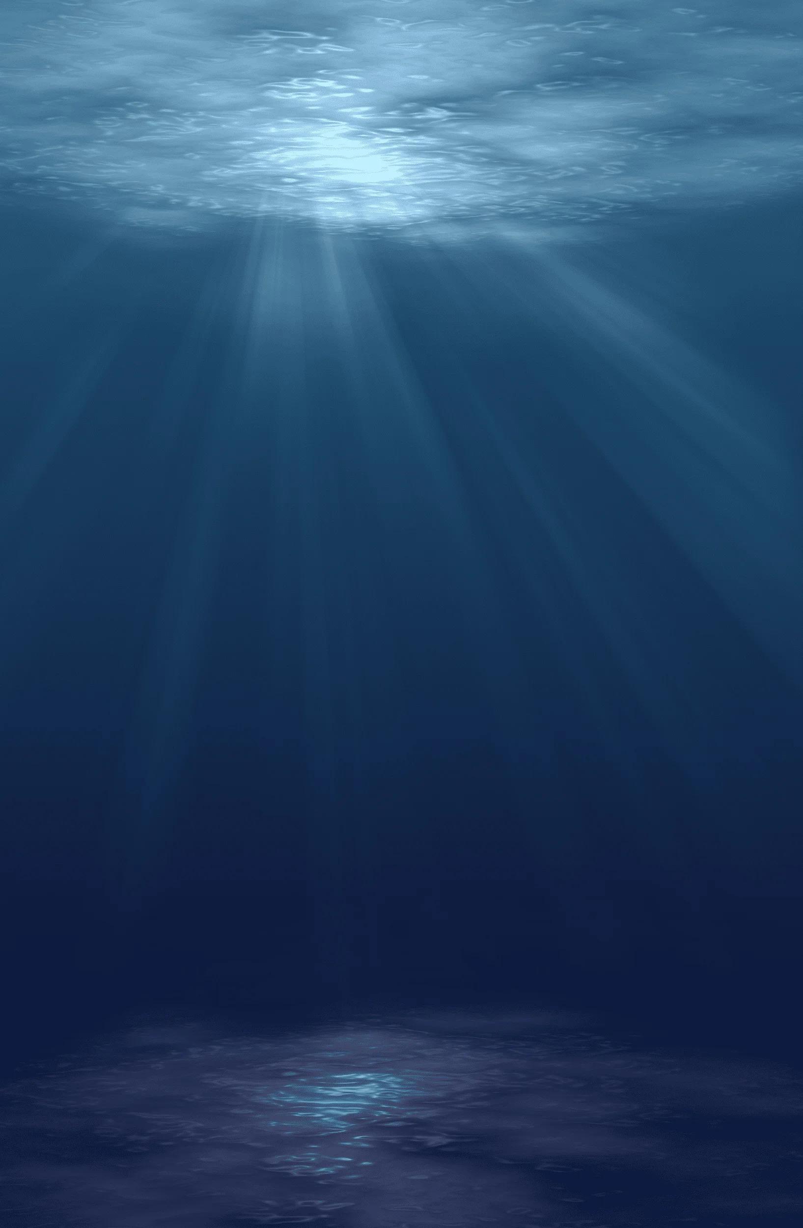 Inner Depth Freediving — freediving school in Koh Tao, Thailand