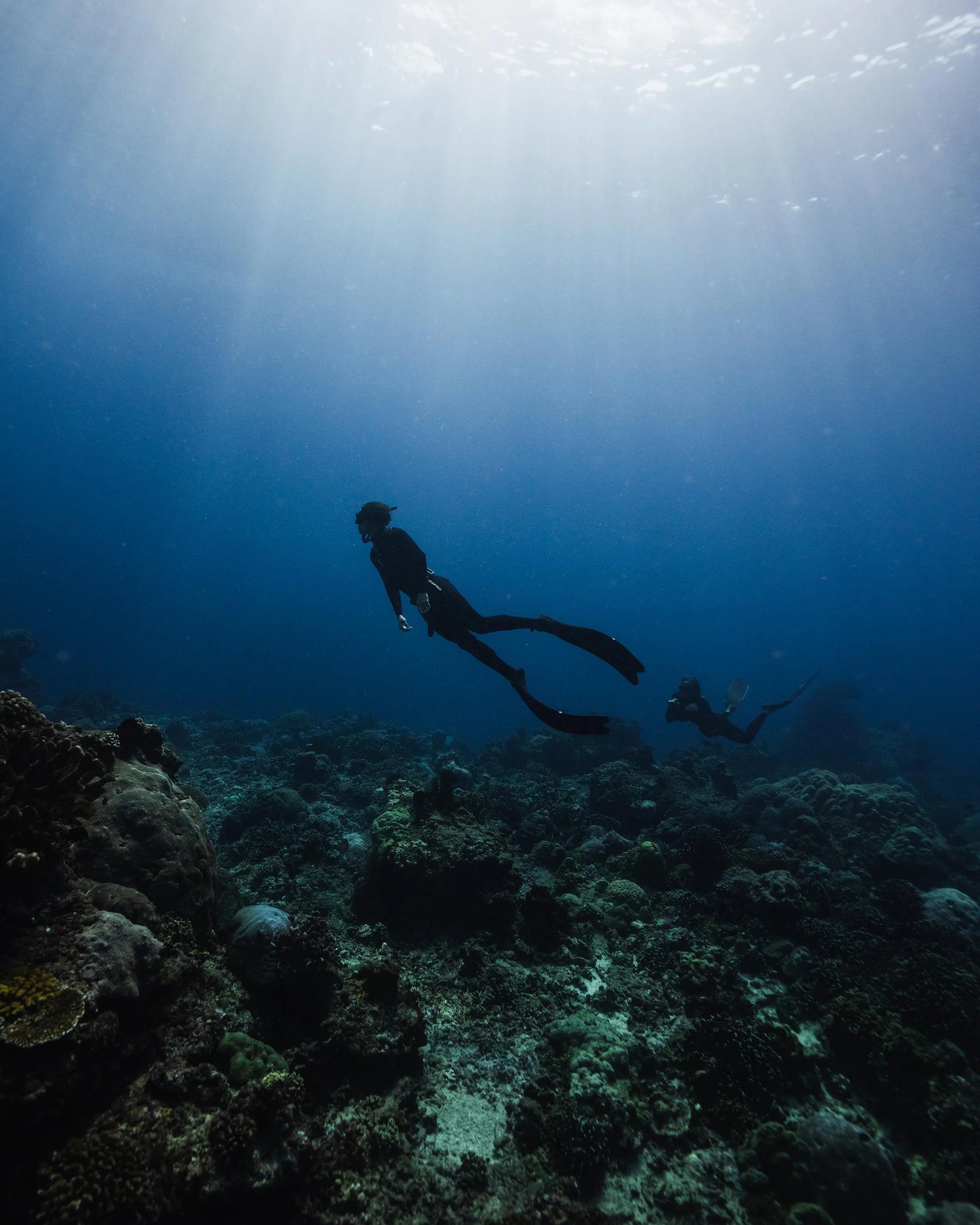 Pacific Freedive Academy — freediving school in Gili Islands, Indonesia