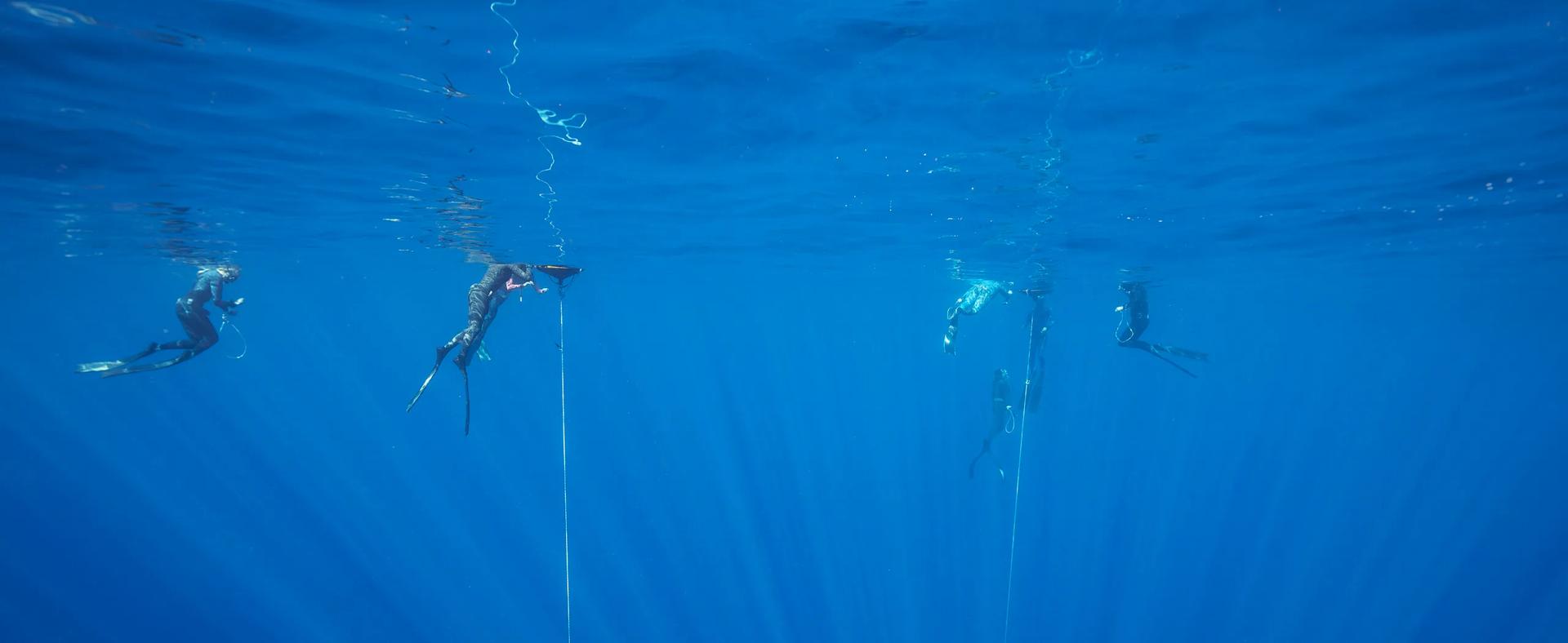 SALT Escape — freediving school in Durban, South Africa