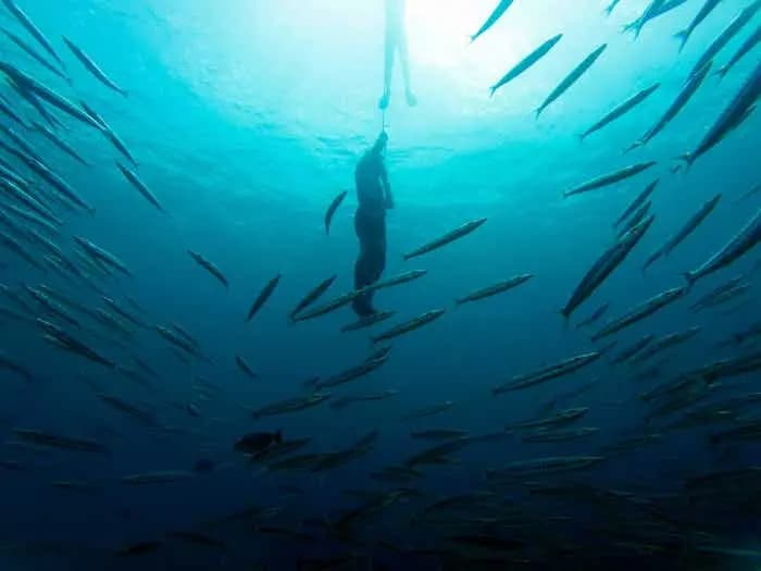 SSS Phuket freediving school