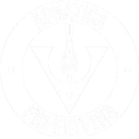 Apnetica logo