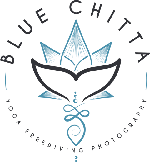 Blue Chitta logo