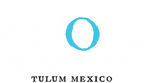 Cenote Freediving logo