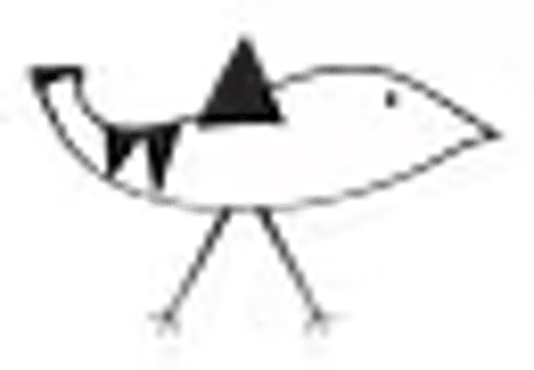 The Flying Dolphin Company logo
