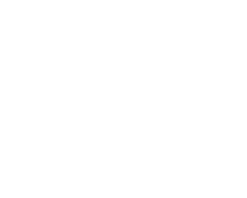 Freediving Explorations logo