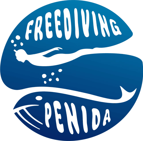 Freediving Penida logo