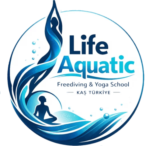 Life Aquatic Kas logo