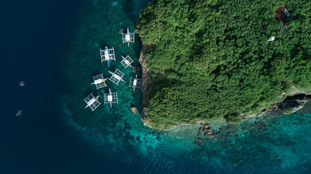 Freediving in Moalboal, Cebu, Philippines