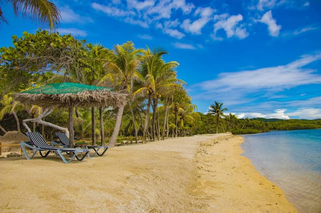 Freediving in Roatan, Honduras