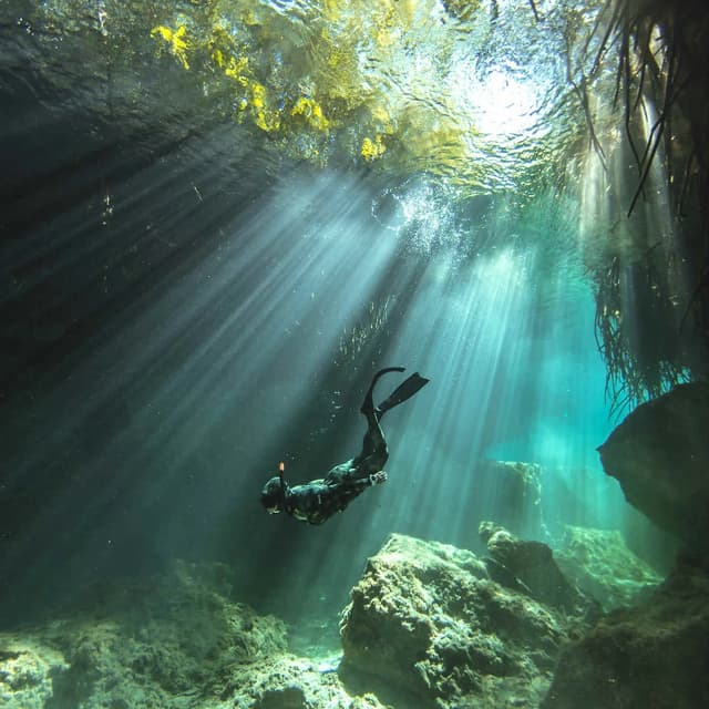 Acuatic Tulum