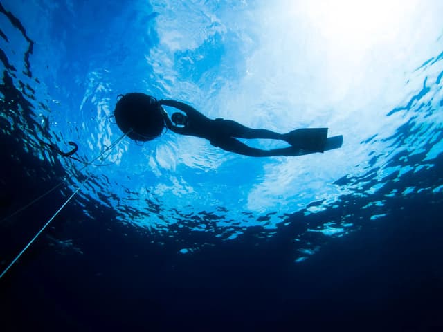 Chango Diving