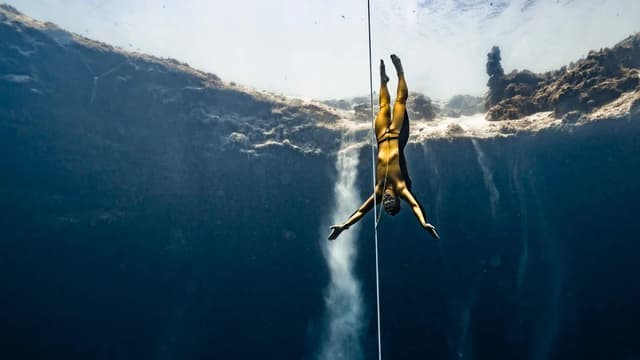 Cortex Freediving