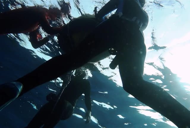 Free Diving Cyprus
