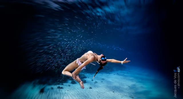 Freedive Dahab