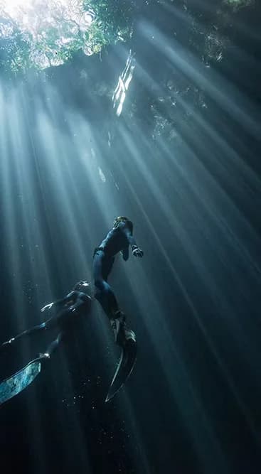 Freedive Mexico