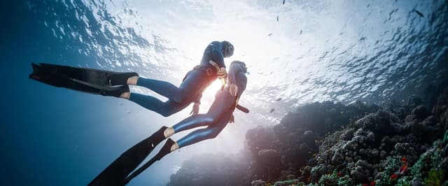 Freedive Nusa