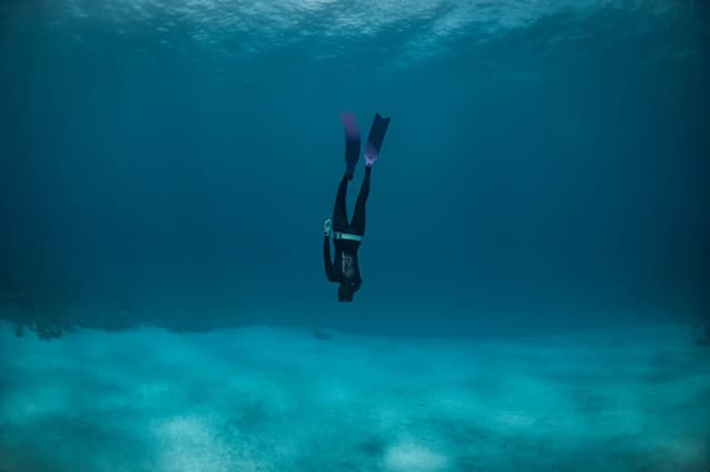 Freediving Dive Spot