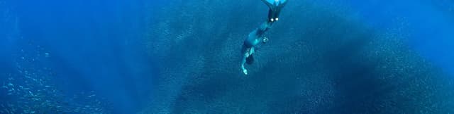 Freediving Planet