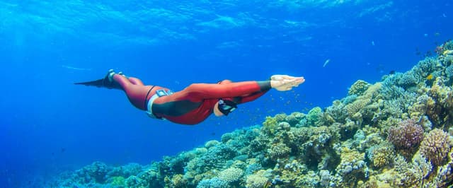 H2O Divers Dahab