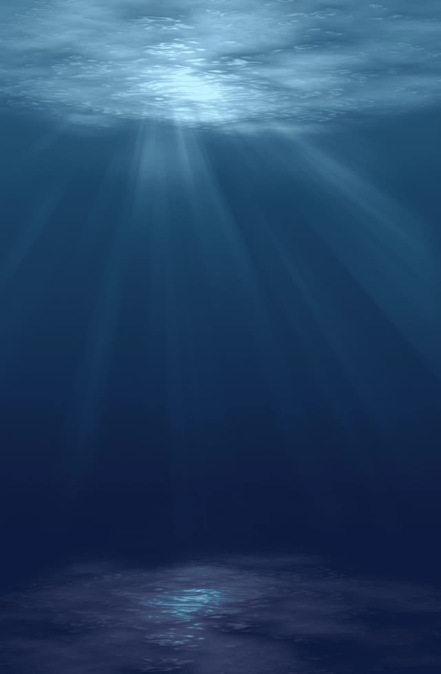 Inner Depth Freediving