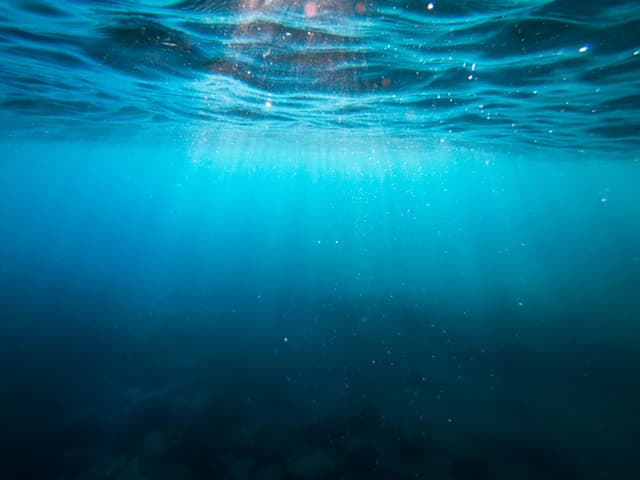 Kauban Freediving