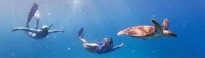 New Heaven Dive School