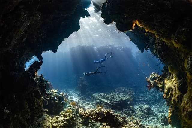 Roatan Diving School