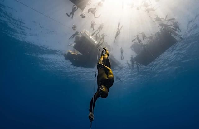 Roatan Freediving