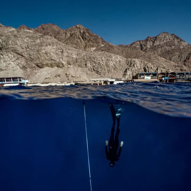 Snorkel Out Freediving School