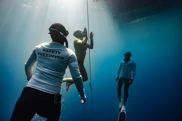 The Cormorant Freediving