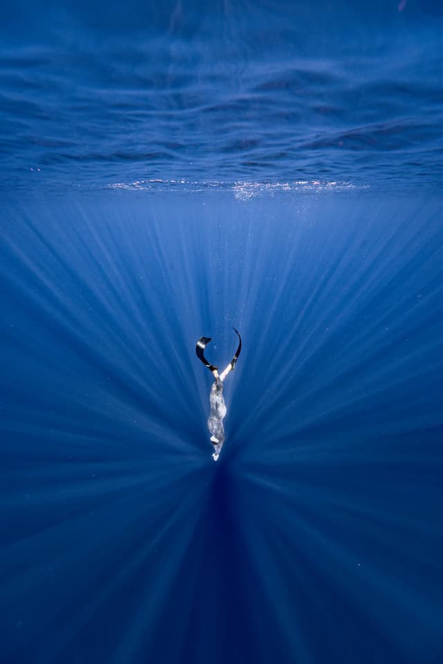 Vertical Blue Freediving