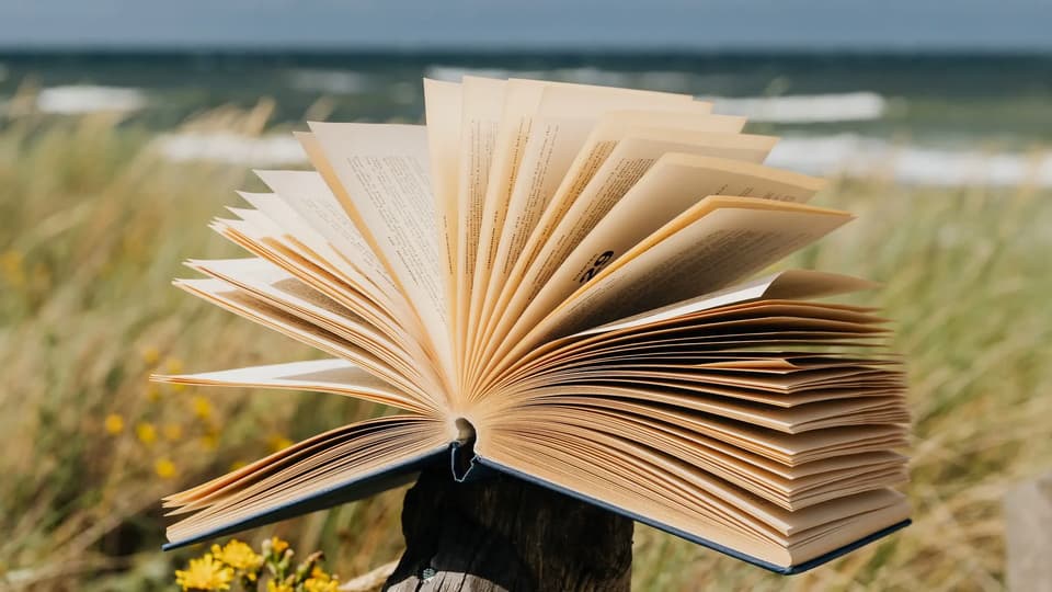 Open book fanned out on a beach fence post overlooking the sea