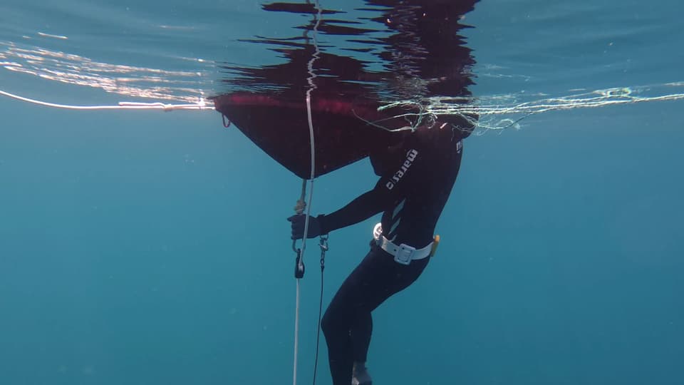 Freediver paused at the surface holding the descent line
