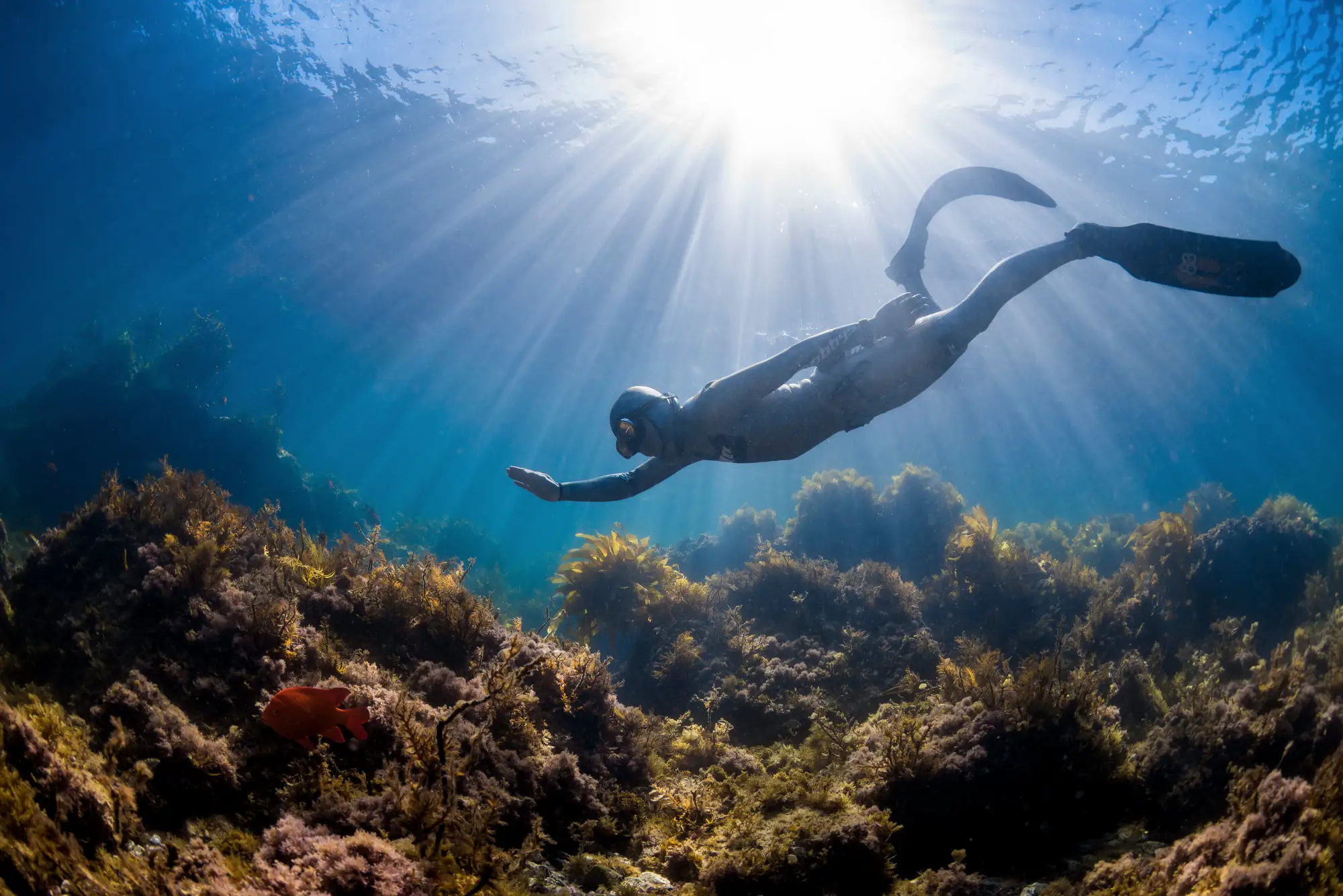 Aqua Native — Freediving School & Courses in Salt Lake City ...